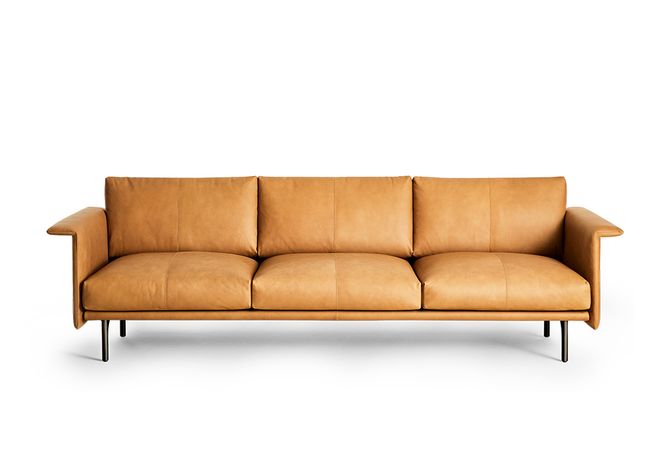 Hovedbilde Montis Otis 